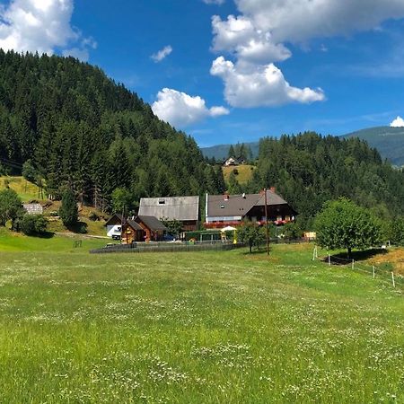 Haus Edlinger Inclusive Murau Sommer Gaeste Card Sankt Georgen ob Murau Exteriör bild